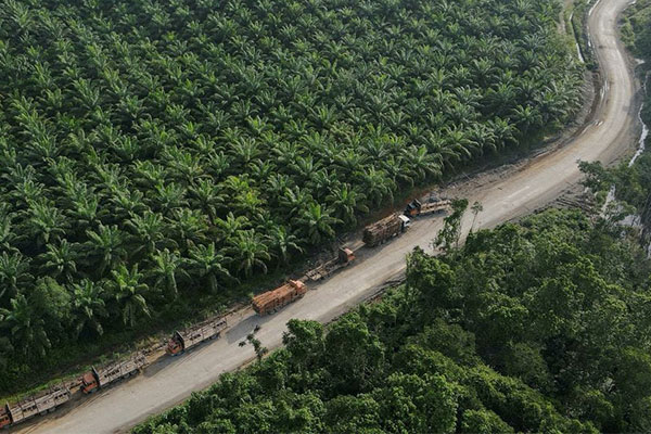 欧盟启动对中国生物柴油的反倾销调查