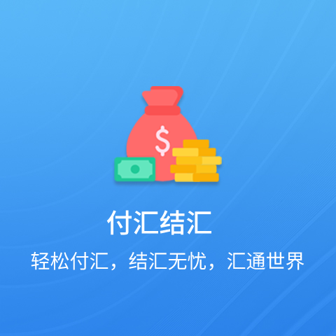 付汇结汇服务